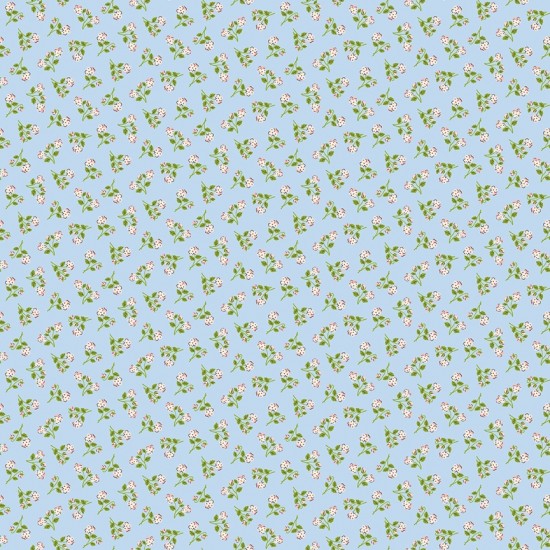 Peter Rabbit Spring